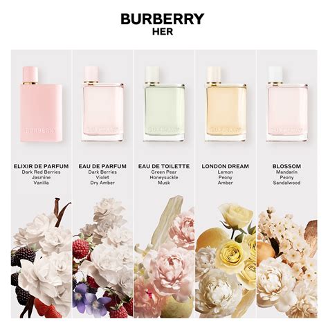 difference between burberry her and burberry her elixir|Burberry Her elixir perfume.